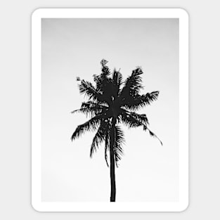 Palm, Tree, Tropical, Fashion print, Scandinavian art, Modern art, Wall art, Print, Minimalistic, Modern Sticker